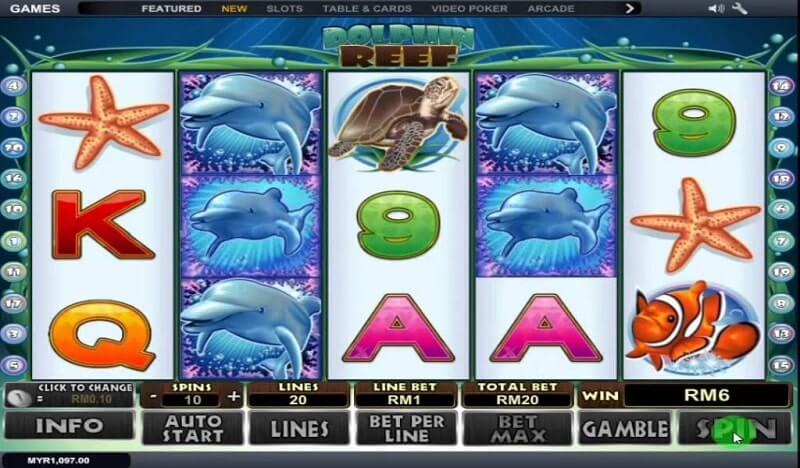 dolphin reef gameplay